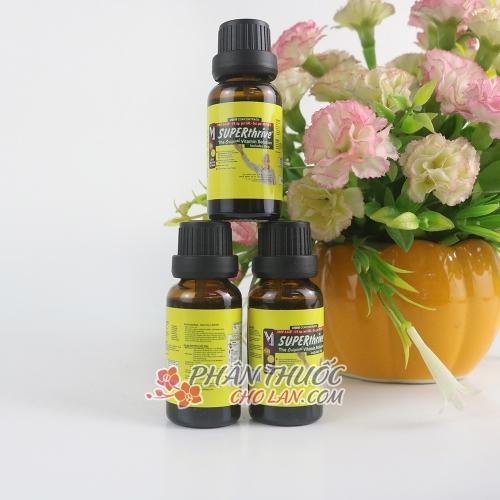 chậu hoa lan đang được tưới dung dịch b1 để tăng cường sức sống và phát triển